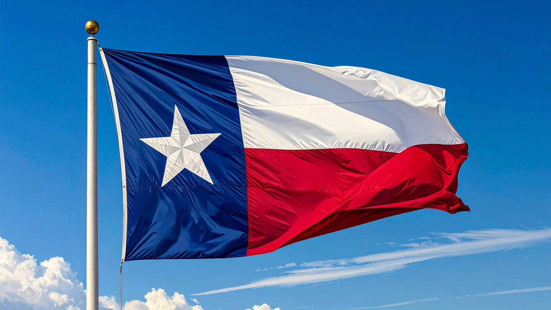 History of Texas Independence Day