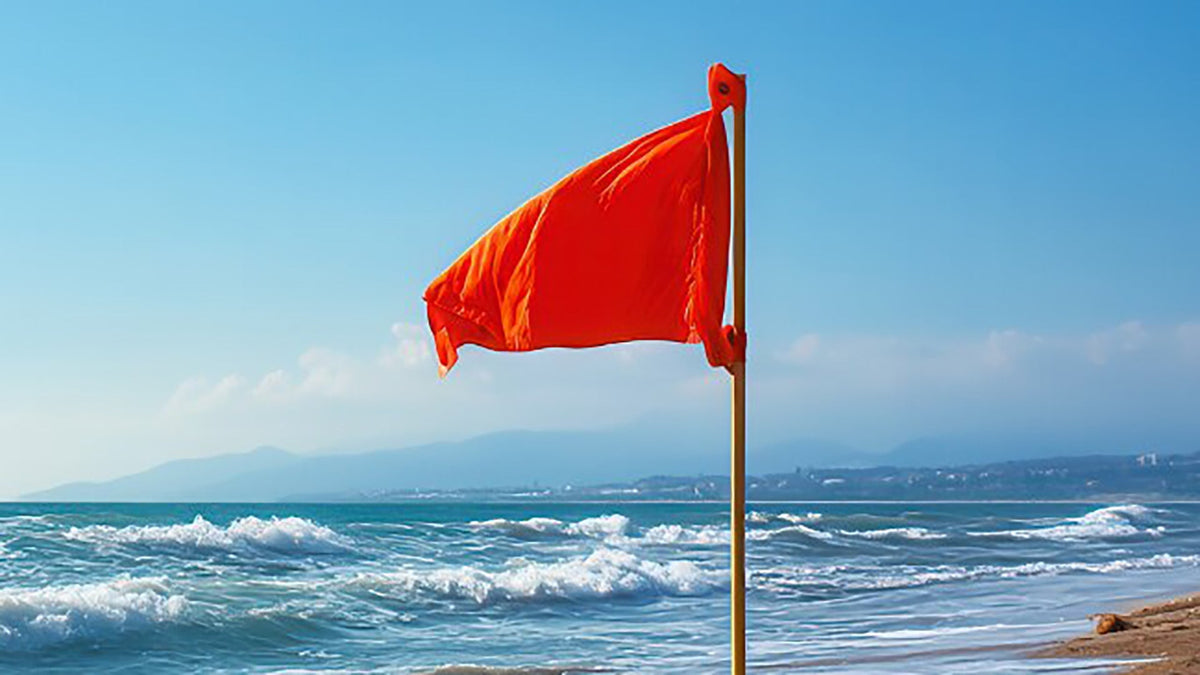 Beach Flag Meanings for Travelers: Colors, Symbols, and Safety Tips