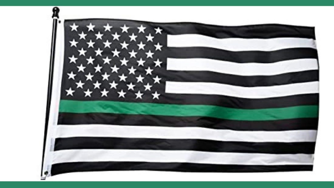 American Flag with Green Stripe Meaning Explained