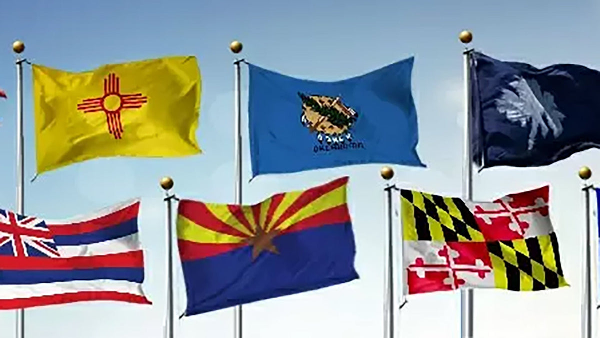 Top 10 Most Memorable State Flags