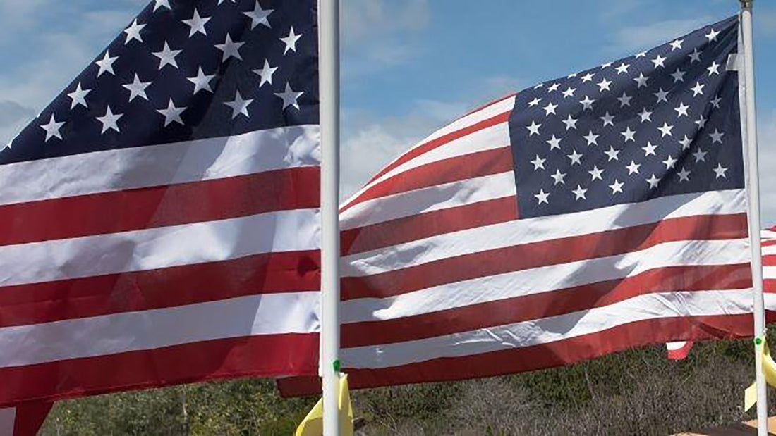 Unveiling the Truth: 10 Fascinating Facts About Veterans Day