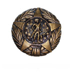 Plastic US Veteran Grave Marker featuring a bronze-colored star with a soldier and laurel wreath design symbolizing American military service.