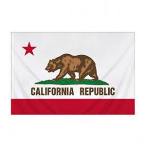 California Flag with Pole Sleeve