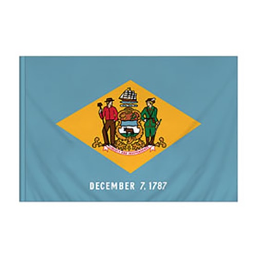 Delaware Flag With Pole Sleeve