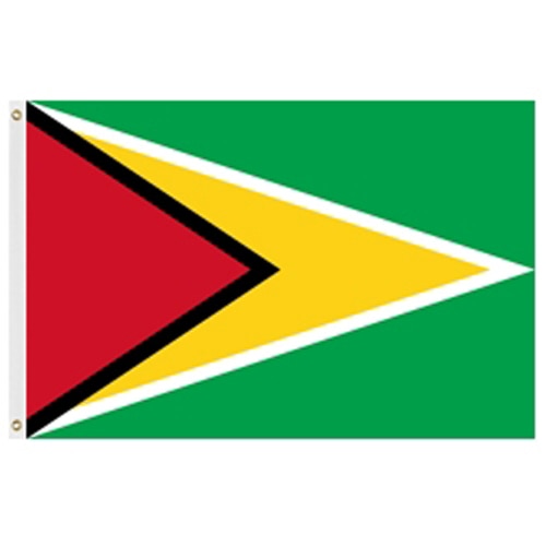 Guyana Flag 2' X 3' Nylon