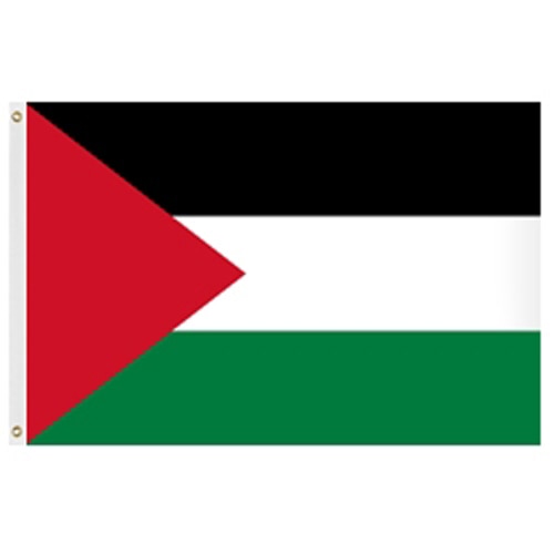 Palestinian flag with colored strip