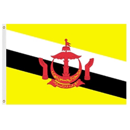 Brunei flag with yellow and black s