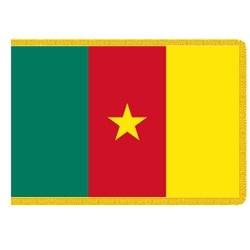 Cameroon flag with star design