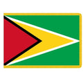 Flag of Guyana with triangular desi