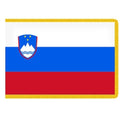 Slovenian flag with Russian colors