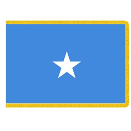 flag with blue background and star