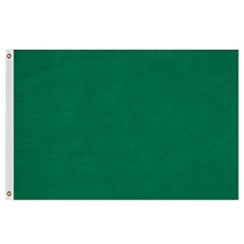 Solid colored green flag made from durable nylon material with reinforced edges and grommets for easy hanging, part of Solid Colored Flags - Premier Nylon.