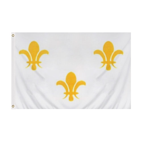 white flag with yellow fleur de lis