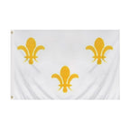 white flag with yellow fleur de lis
