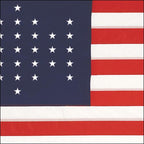 Union Civil War Flag