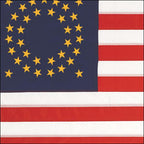 Union Cavalry Guidon