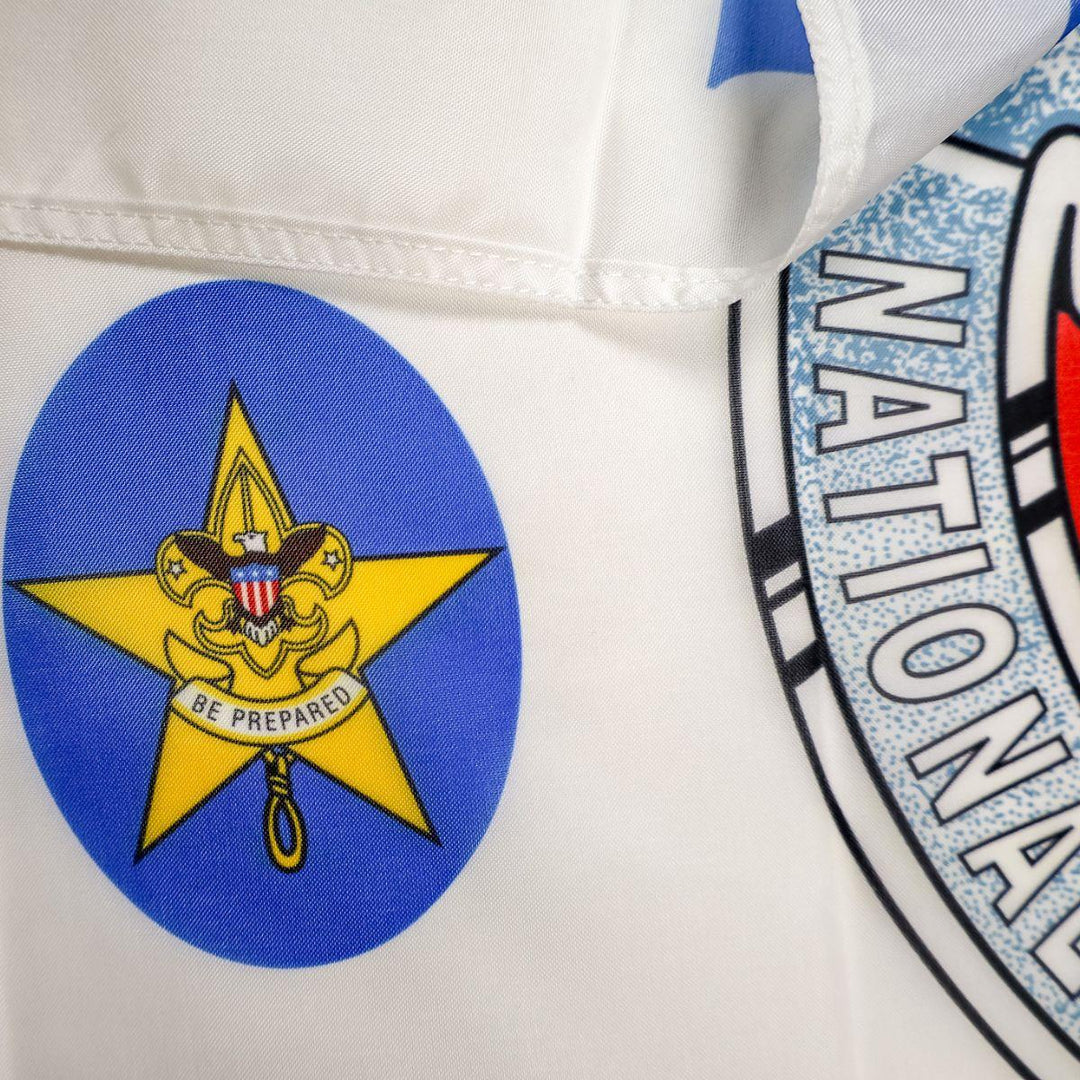 NESA flag star logo