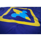 Webelos Emblem Closeup