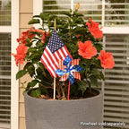 military cemetery flags