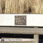 Custom Bronze Plaque