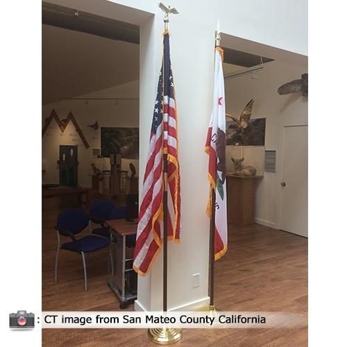 flags in gallery setting sunny day