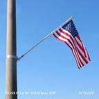silver pole with flag and top