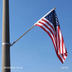 Street Light Poles Flag Set