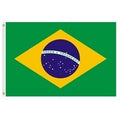 Brazilian flag with green backgroun