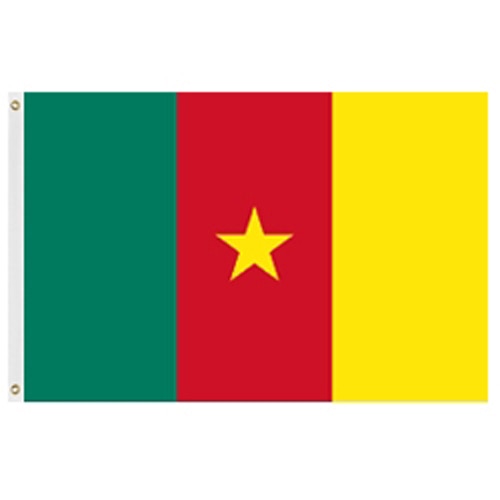 Cameroon flag with star