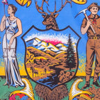 Nylon Idaho Flag