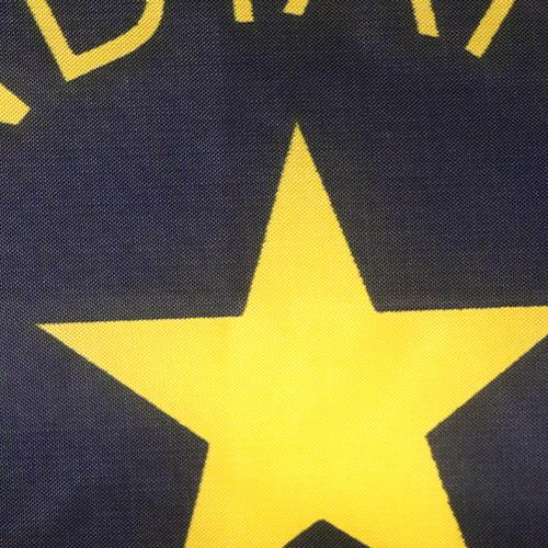 Polyester Indiana Flag