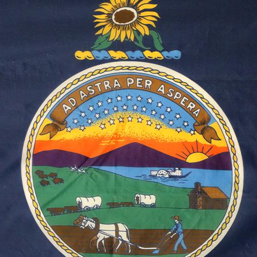 Nylon Kansas Flag