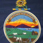 Nylon Kansas Flag