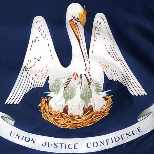 Louisiana state flag design detail