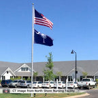 South Carolina State Flags
