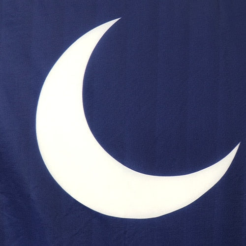 Closeup of SC flag - crescent moon