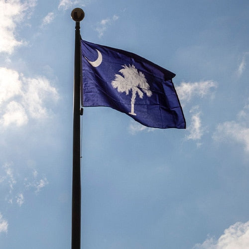 South Carolina state flag waving