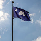 South Carolina state flag waving