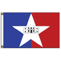 Texas Lone Star Flag design