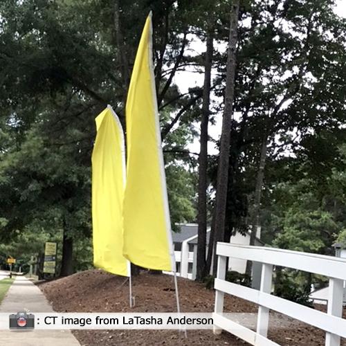 Solid Color Feather Flag