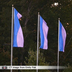 three flags blue pink banner