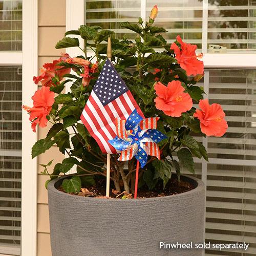 U.S. Cemetery Flags