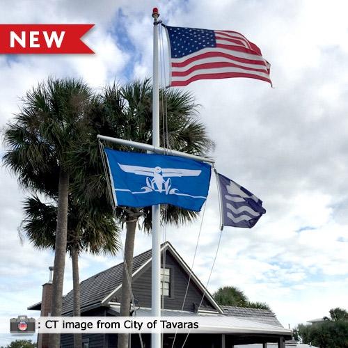 flags flying at town hall